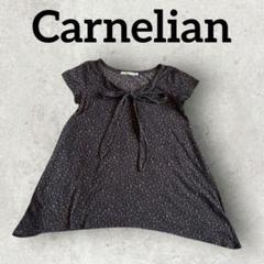 Carnelian ヒョウ柄半袖シャツ リボン付きトップス (M) ネイビー系