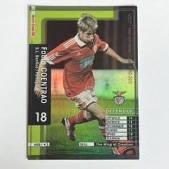 【極美品・希少】2014 ポルトガル代表 #5 ファビオ・コエントラン ホーム 極美品・希少】2014 ポルトガル代表 #5 ファビオ・コエントラン
