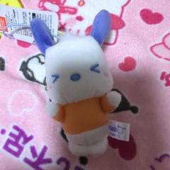 ポチャッコ 毎日ポチャッコマスコット うれしい