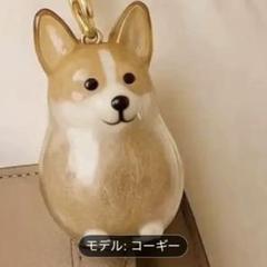 【コーギー】　うちの子けだまだま 犬の毛収納 キーホルダーのサムネイル