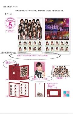 レア品】AKB48 初期メンバーアルバム切手付き