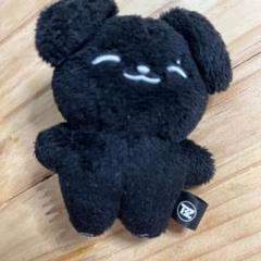 The boyz ZENERATION ミニドール ぬいぐるみ サンヨン