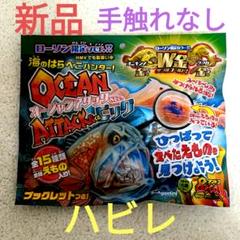 オーシャンアタック ブックレット付き 2025年最新】オーシャンアタックの人気アイテム - メルカリ