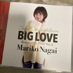 永井真理子 BIG LOVE Brand-New Door Vol.4 - メルカリ