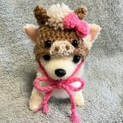 犬用帽子　ハンドメイド　まりのです。 犬用帽子 ハンドメイド まりの様専用です。 - メルカリ