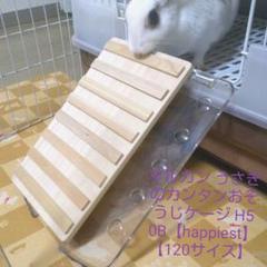 うさぎ ケージ スロープの中古 未使用品 メルカリ