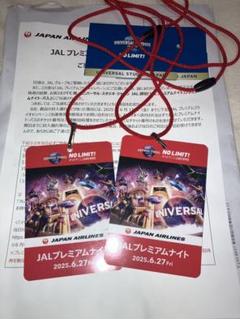 JALプレミアムナイト チケット 2025年6月27日 JALプレミアムナイト チケット 2025年6月27日