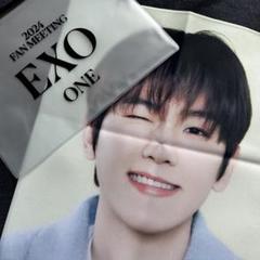 未使用！EXO　ベッキョン　キュンコン　フーディー　パーカー　トレカなし 2025年最新】exoベッキョンの人気アイテム - メルカリ