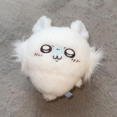 2025年最新】ほわほわぬいぐるみ モモンガの人気アイテム - メルカリ