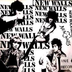 HARDCORE　ハードコア　サディサッズ　PUNK　レコード　ジャパコア コンチネンタルキッズ レコード ハードコア HARDCORE ジャパコア
