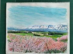 風景画 桜と山の風景画 水彩画 F8サイズ(38✕45.5cm) - メルカリ