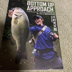 川村光太郎　ボトムアップ　アプローチ
