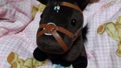 2025年最新】サトノクラウン ぬいぐるみの人気アイテム - メルカリ