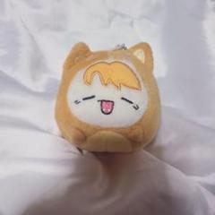 INFINITE ソンヨル ぬいぐるみ 学ラン18cmほど INFINITE ソンヨル ぬいぐるみ 学ラン18cmほど - メルカリ
