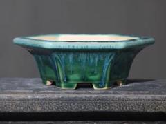 六角鉢 盆栽鉢 植木鉢 小品盆栽鉢 大品盆栽鉢