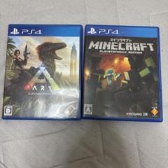 ARK: Survival Evolved & Minecraft PS4セット