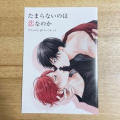 たまらないのは恋なのか　1〜4 アニメイト限定特典付き　初版 たまらないのは恋なのか 1〜4 アニメイト限定特典付き 初版