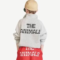 2025年最新】the animals observatory スウェットの人気アイテム