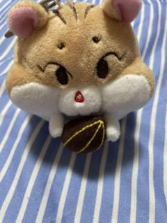 2025年最新】シウミン ぬいぐるみの人気アイテム - メルカリ