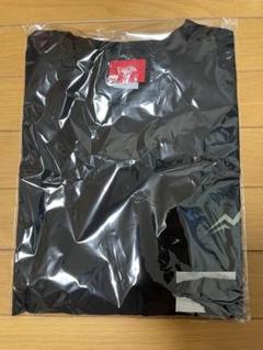 ウェア RAID JAPAN THUNDERSTOM DRY TEE L DOTOUT JAPAN / Aero Light Jersey