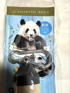 アドベンチャーワールド　彩浜 ミニアルバム　アクリルチャーム付き アドベンチャーワールド 良浜 ミニアルバム アクリルチャーム