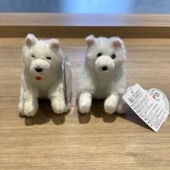 サモエドごきげん ぬいぐるみ 2体セット AMUFUN プライズ品 タグ付き