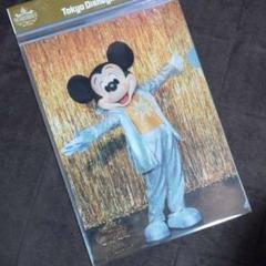 ディズニー　ドリームファイル 2025年最新】ディズニー ドリーム ファイルの人気アイテム