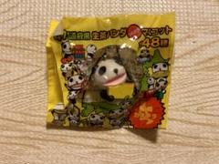 2025年最新】生茶パンダ 47都道府県の人気アイテム - メルカリ