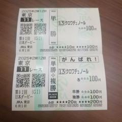 【即決】クロフネ　現地的中 単勝馬券×2枚セット 武蔵野S&JCダート 01 ジャパンカップダート クロフネ 現地 的中 記念馬券 - メルカリ