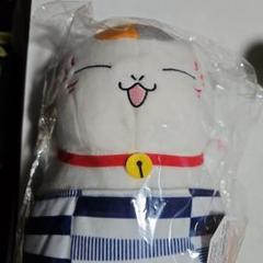 にゃんこ先生オーダーページ m68100559109_1.jpg?1709783468