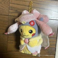ポンチョを着たピカチュウ ぬいぐるみ キーホルダー 全てタグ