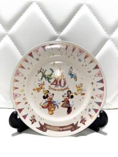 DISNEY 40周年 絵皿 絵皿 飾り皿 ディズニープレート ミッキーマウス ミニーマウス
