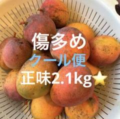 ミニミニマンゴー　傷、黄色多め ミニマンゴー傷多め2.1kg⭐️ - メルカリ