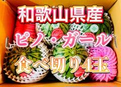 2025年最新】みかんキングの人気アイテム - メルカリ