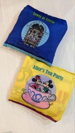 ♡ディズニー✨ミッキーミニー ✨エコバッグ 2点セット♡