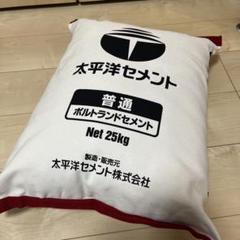 非売品 未使用品 レア 太平洋セメント クッション - メルカリ