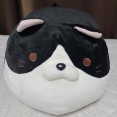 ごろねこサミット　ナカガワ