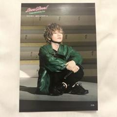 Amazon.co.jp: 浦島坂田船 うらたぬき メモカ : 文房具