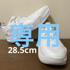 NOVA SURGE LOW 2 ノヴァサージ ロー 2 28.5cm