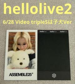 tripleS Assemble25 hellolive2 子犬 マユ
