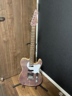Aria pro II custom ハードケース付難あり瑕疵あり動画あり