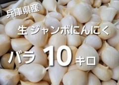 【初物】香川県産　乾燥にんにく　10kg 訳あり(割れ過ぎを含む)加工用 初物】香川県産 乾燥にんにく 10kg 訳あり(割れ過ぎを含む)加工