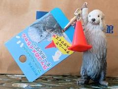 鳥羽水族館 ラッコ メイちゃん キーホルダー 2個セット Amazon.co.jp: 鳥羽水族館 ラッコ メイちゃん キラちゃん 木札
