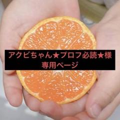 アクビちゃん 様   専用出品 2025年最新】アクビちゃん フィギュアの人気アイテム - メルカリ