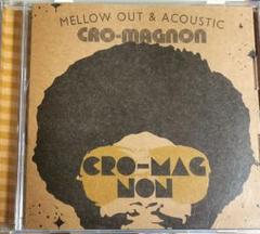 The Cro-Magnons アルバムコレクション‼️セット‼️ プラス５枚‼️ 初回生産限定盤・17作品 ・ザ・クロマニヨンズ・THE CRO-MAGNONS