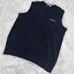 ミズノ/MIZUNO/ベスト/毛55%/シンプル/トップス/服/秋冬/スポーツ