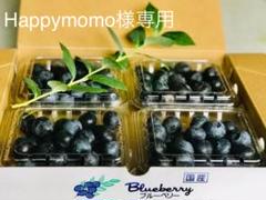 【朝摘み】厳選ブルーベリー4種詰合(生食用) 600g