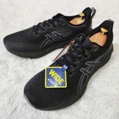 ✨タグ付き未使用品✨アシックス ノバブラスト4 ランニングシューズ 30cm