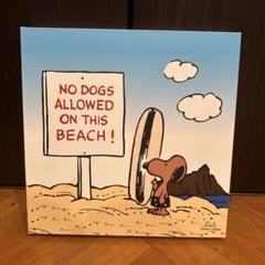 値下げ 新品ハワイ限定日焼けスヌーピー キャンバスウォールアートNODOGS 2025年最新】日焼けスヌーピー アートの人気アイテム - メルカリ