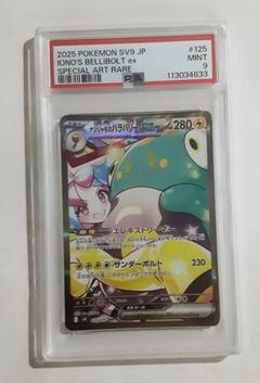 【PSA10】ナンジャモのハラバリーex SAR ① ナンジャモのハラバリーex【SAR】{125/100} - カードラッシュ